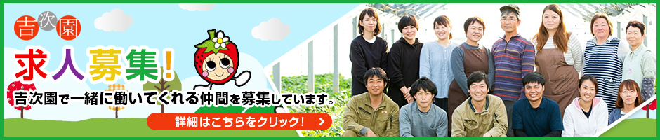 求人募集。吉次園で一緒に働いてくれる仲間を募集しています。