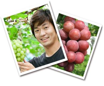 The secret of the deliciousness of grape in Kichijien