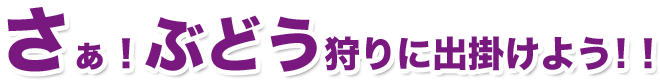 さぁ！ぶどう狩りに出掛けよう!