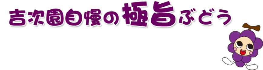 吉次園自慢の極旨ぶどう