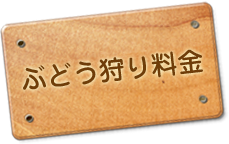 ぶどう狩り料金