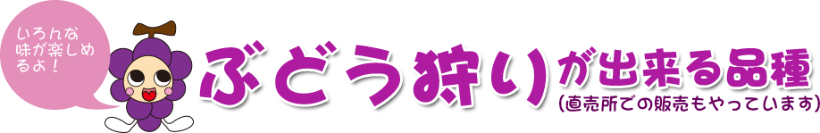 ぶどう狩りが出来る品種