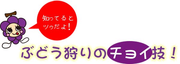 ぶどう狩りのチョイ技！