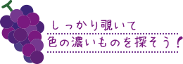 しっかり覗いて色の濃いものを探そう！