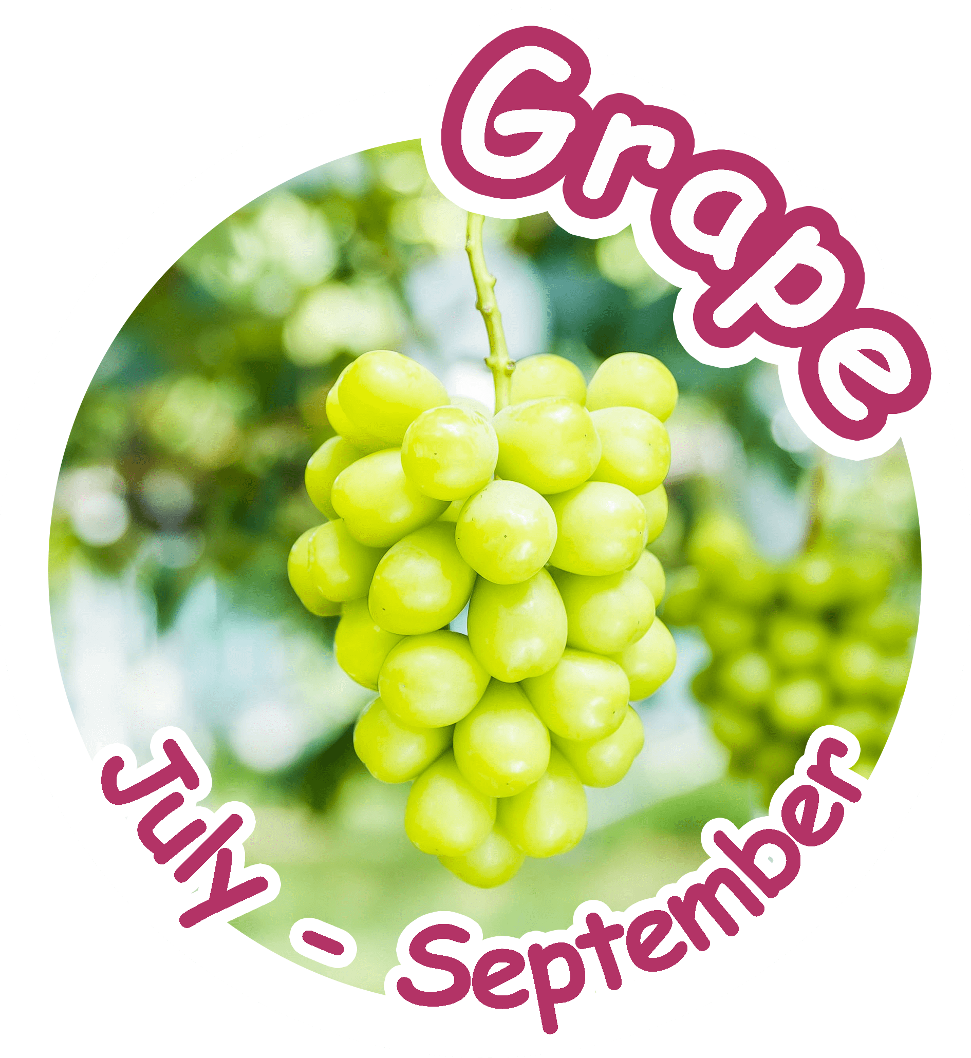 grape