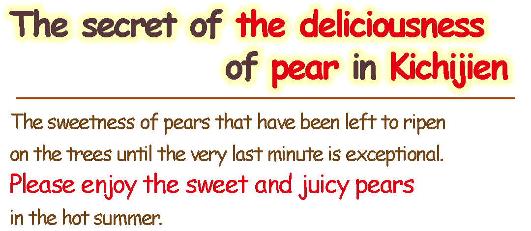 The sweetness of pears that have been left to ripen on the trees until the very last minute is exceptional. Please enjoy the sweet and juicy pears in the hot summer.