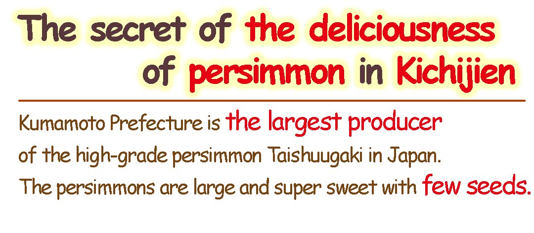 Kumamoto Prefecture is the largest producer of the high-grade persimmon Taishuugaki in Japan. The persimmons are large and super sweet with few seeds.