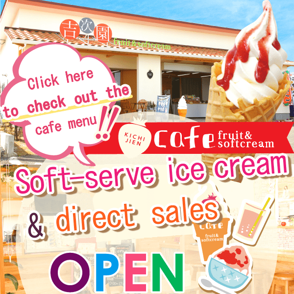 Soft-serve ice cream & direct sales