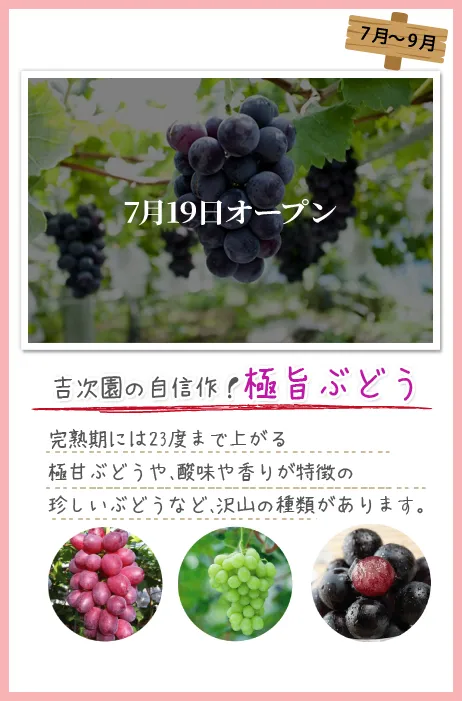 季節ごとに楽しめるフルーツ狩り 7月19日オープン