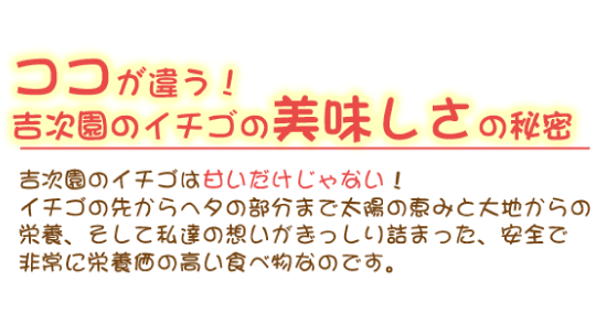 吉次園のイチゴは甘いだけじゃない！イチゴの先からヘタの部分まで太陽の恵みと大地からの栄養、そして私達の想いがぎっしり詰まった、安全で非常に栄養価の高い食べ物なのです。