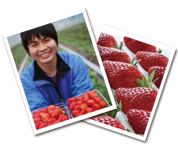 The secret of the deliciousness of strawberry in Kichijien