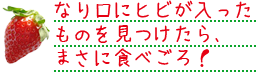 なり口にヒビが入ったものを見つけたら、まさに食べごろ！