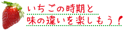 いちごの時期と味の違いを楽しもう！