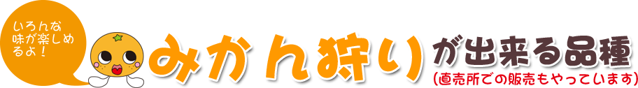 みかん狩りが出来る品種