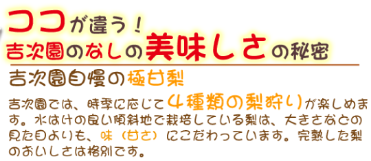 吉次園自慢の極甘梨<br>吉次園では、時季に応じて４種類の梨狩りが楽しめます。水はけの良い傾斜地で栽培している梨は、大きさなどの見た目よりも、味（甘さ）にこだわっています。完熟した梨のおいしさは格別です。