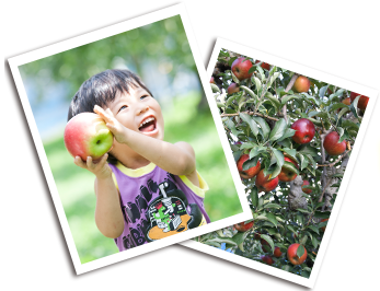 The secret of the deliciousness of apple in Kichijien