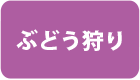 ぶどう狩り