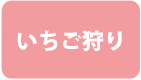 いちご狩り