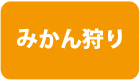 みかん狩り