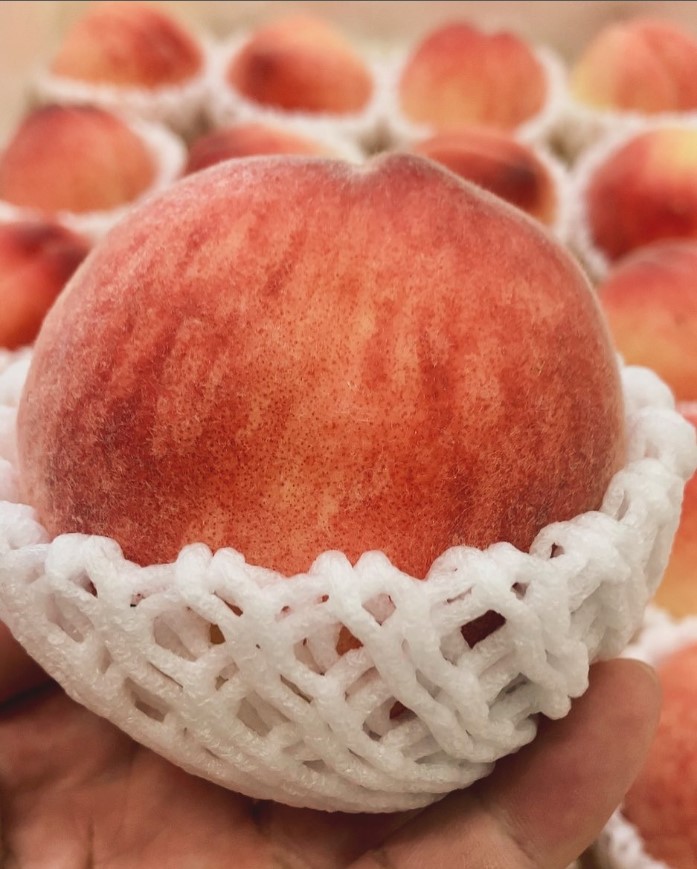 無花果・柑橘・栗・りんご• 桃• いちご のお菓子づくり 楽天市場